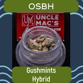 Gushmints - 1g Bubble Hash