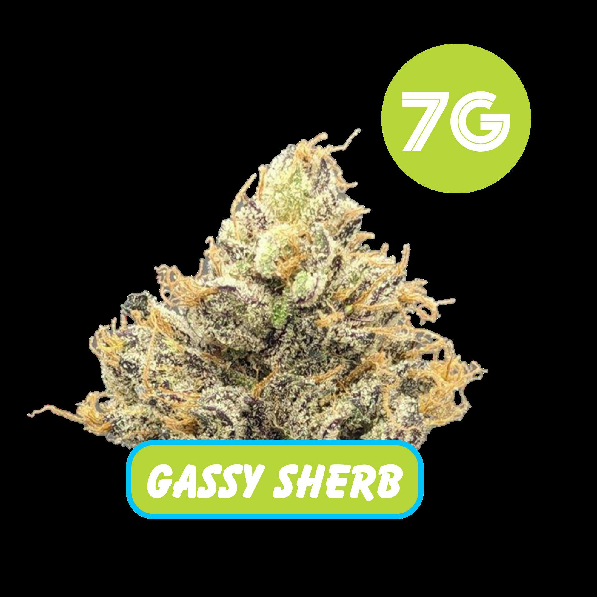 Gassy Sherb Flower™