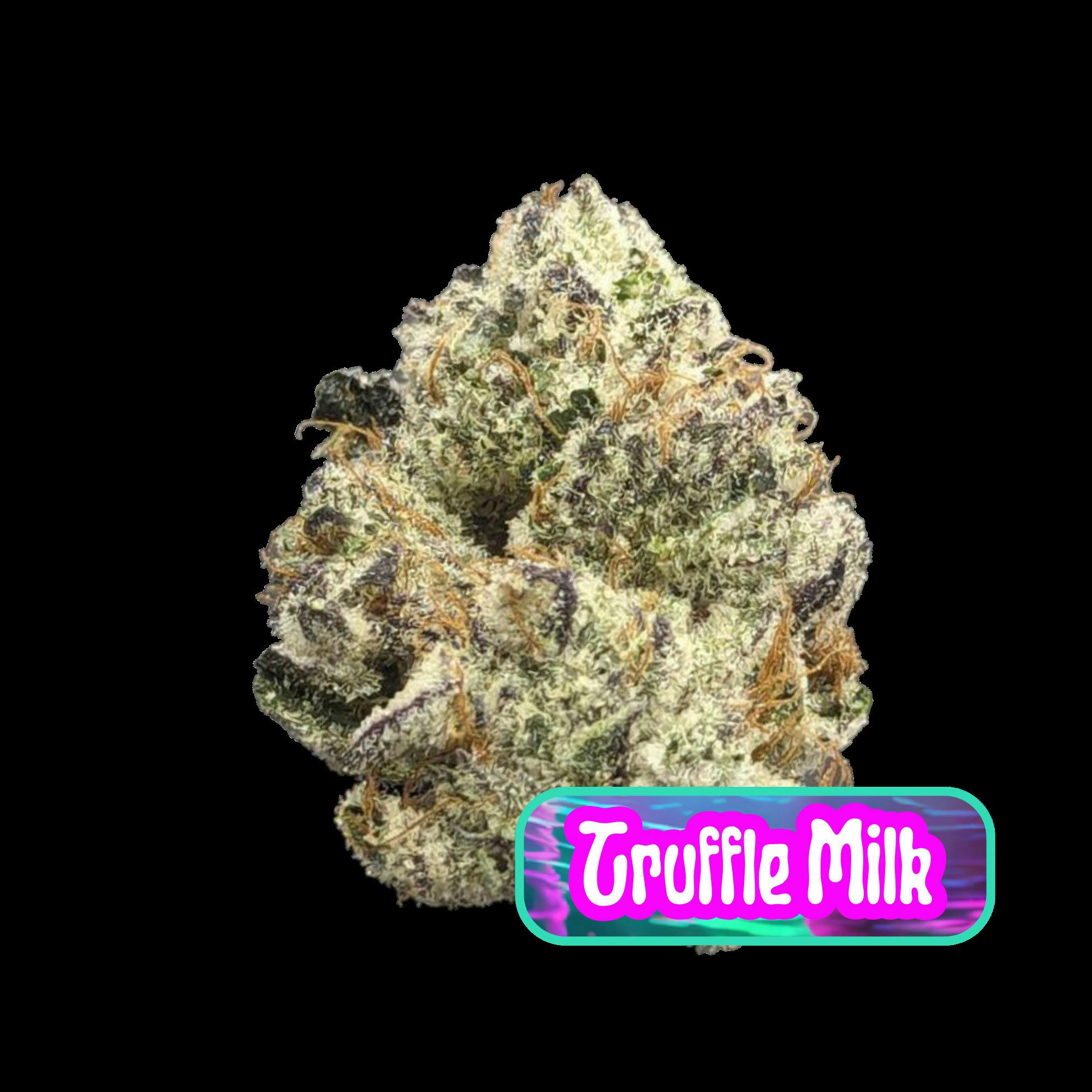 Truffle Milk Flower