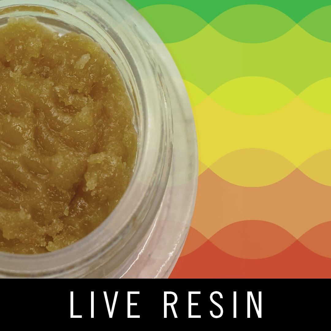Levitate - Live Resin Baller Jar - Pink Oreoz