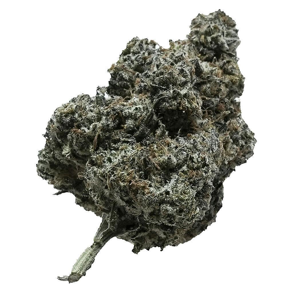 Not The GovernMINT 3.5g Dried Flower