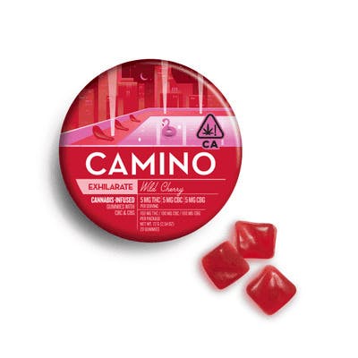 Kiva: Camino Wild Cherry
