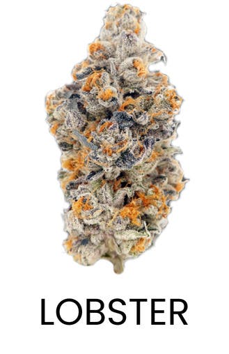 KushFace: Lobster Butter