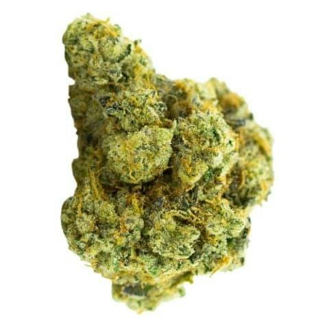 Carmel - Animal Face Cookies - 14g