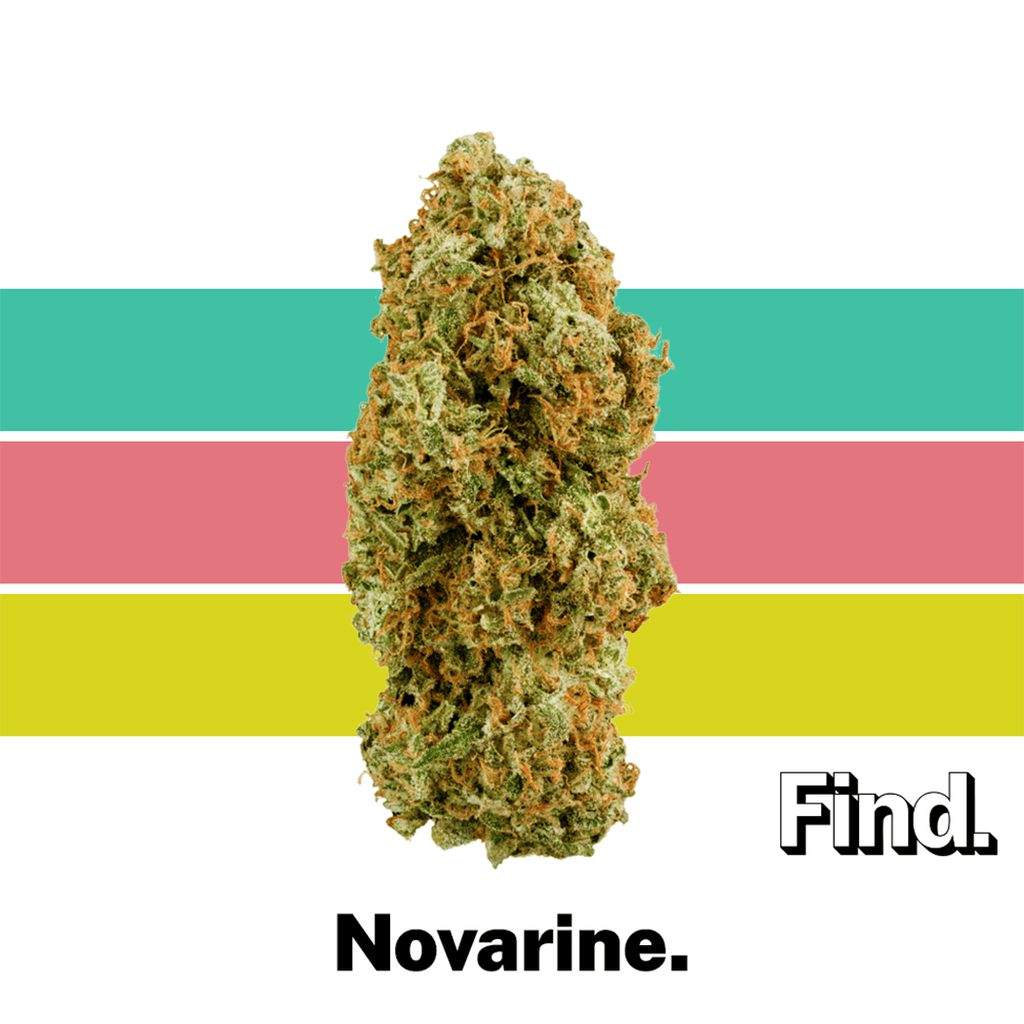 Find. Novarine Whole Flower 3.5g
