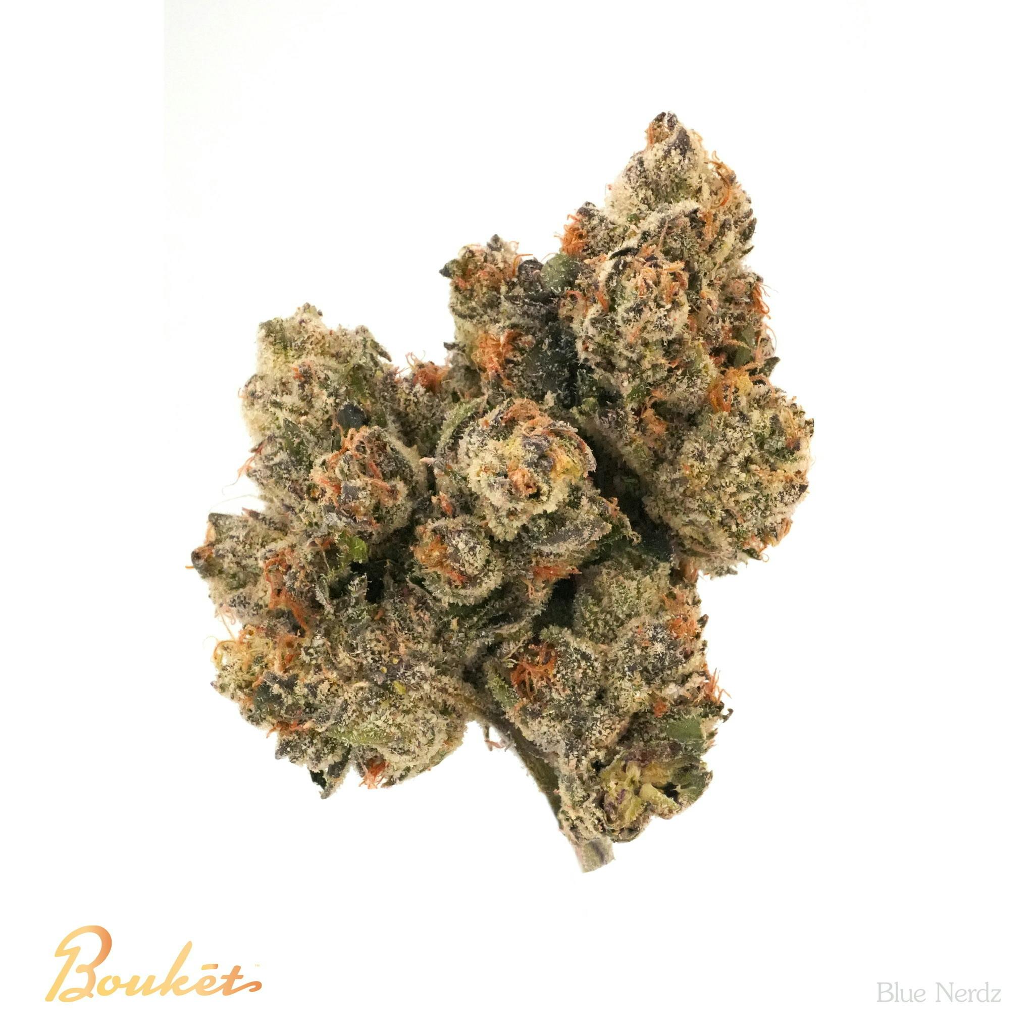 Cherry Paloma | Flower