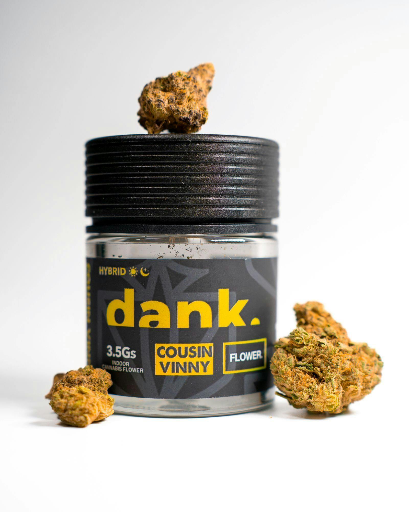 Cousin Vinny | Indoor Flower