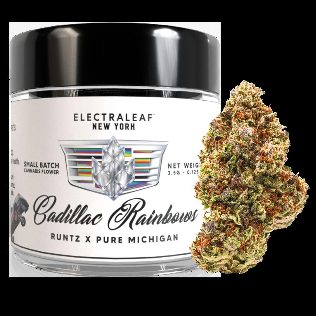Cadilac Rainbows | Flower