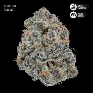 Super Boof | Flower