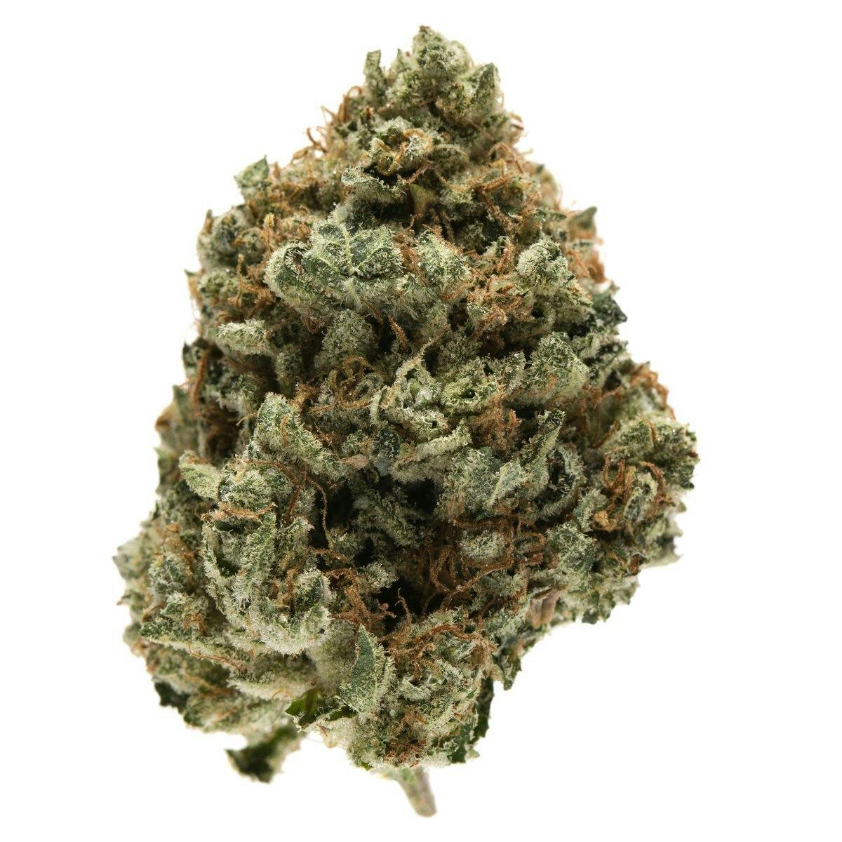 Nextier - Kosher Kush Bud 14g