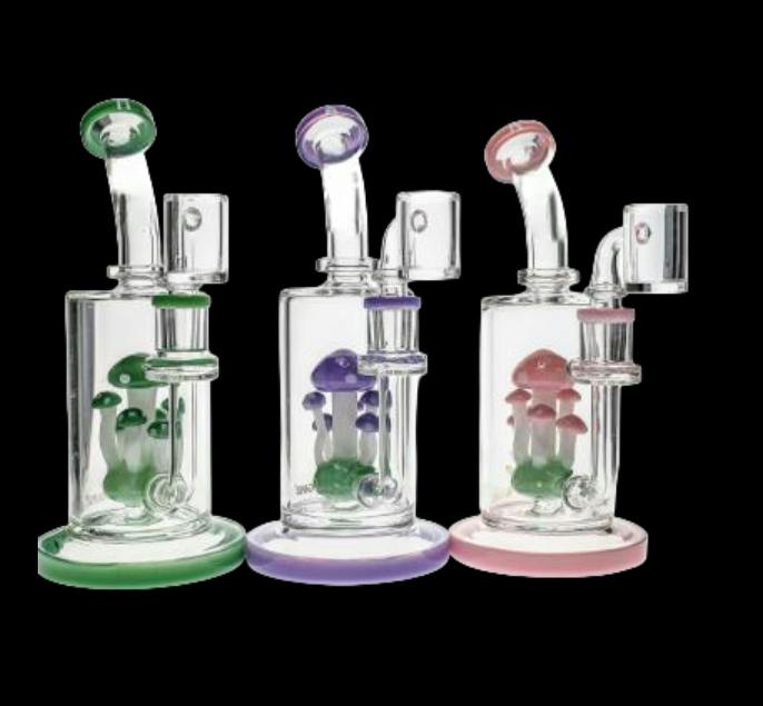 7 Mushroom Perc