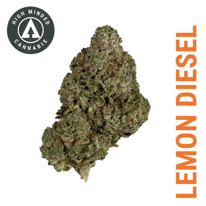 Lemon Diesel - Gold Tier at Timber Cannabis Co Big Rapids Dispensary
