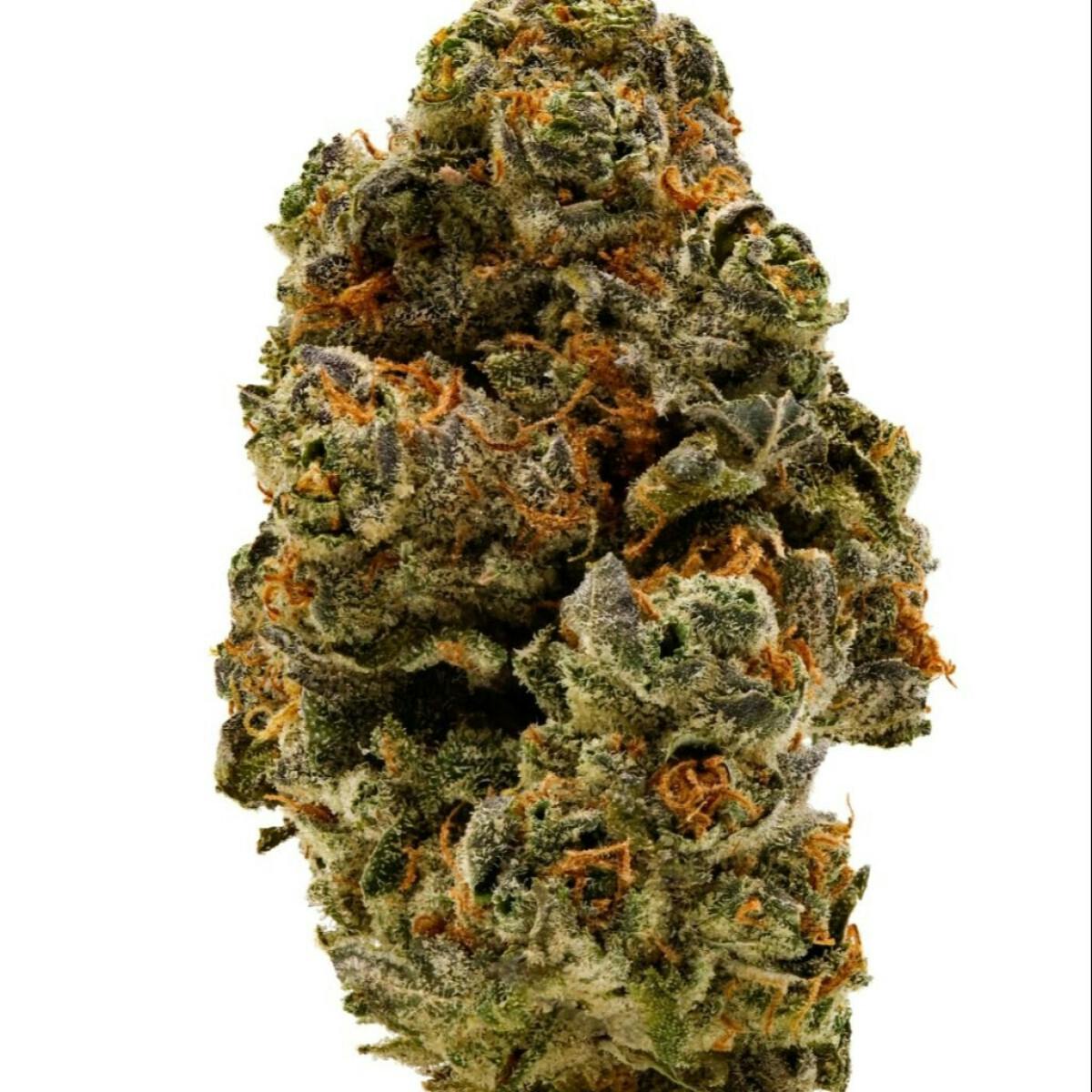3.5G JACK HERER at SWADE Dispensary Warrensburg