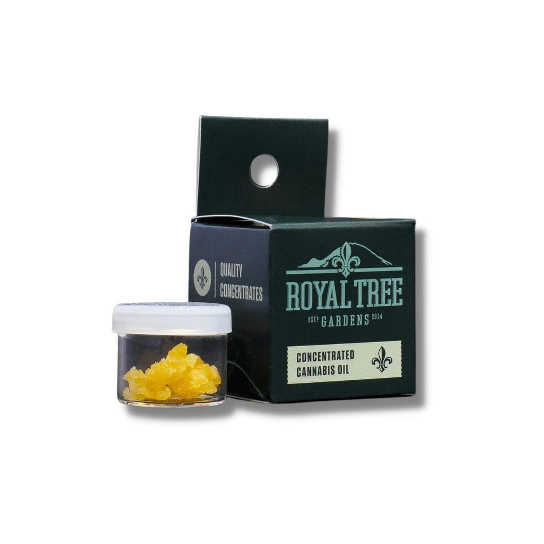 Sour Peach Cheesecake 1g Live Resin Concentrate (Royal Tree Gardens)