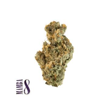 Traditional - Mamba 8 | 5g Minis - 5 grams