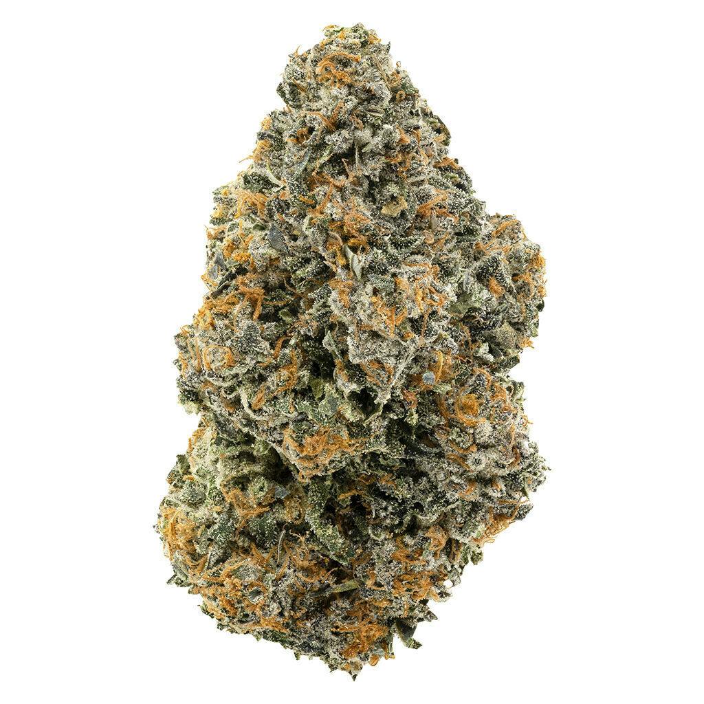 1964 - Organic Gelato #41 - 3.5g