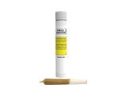 General Admission - Blue Rocket Distillate Infused Pre-Roll - 3x0.5g