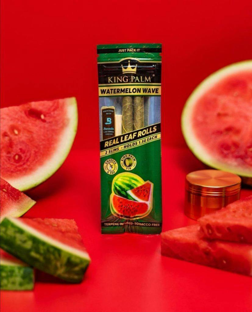 KING PALM WATERMELON WAVE
