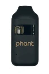 PHANT ROOT BEER OG 1G DISPOSABLE