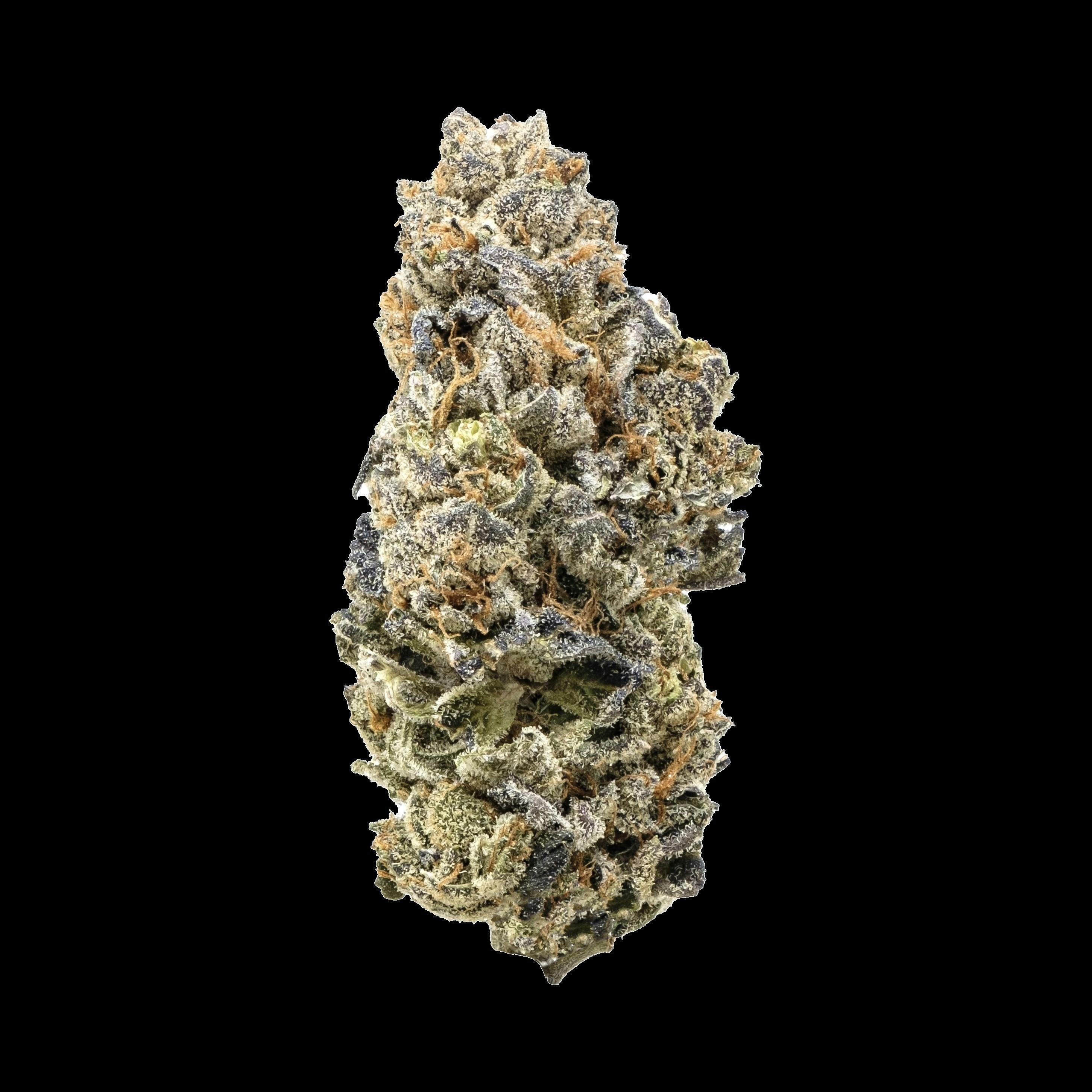 SNICKLEFRITZ GG4 X ALIEN TECHNOLOGY 3.5G