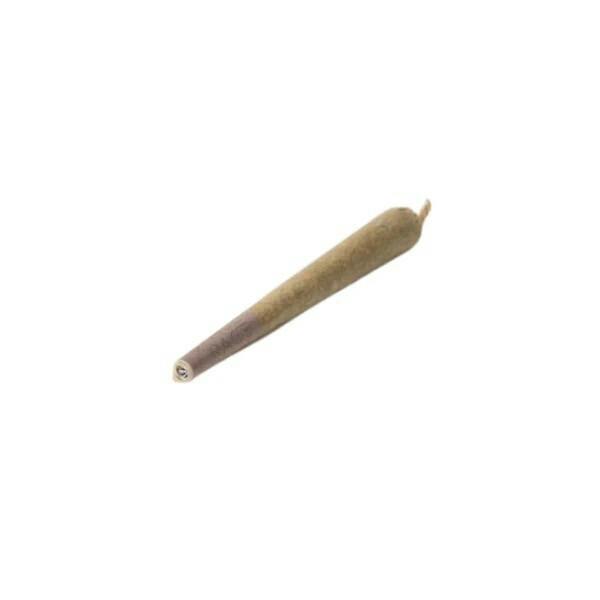 SPACE RACE STARSHIP 1X1G
