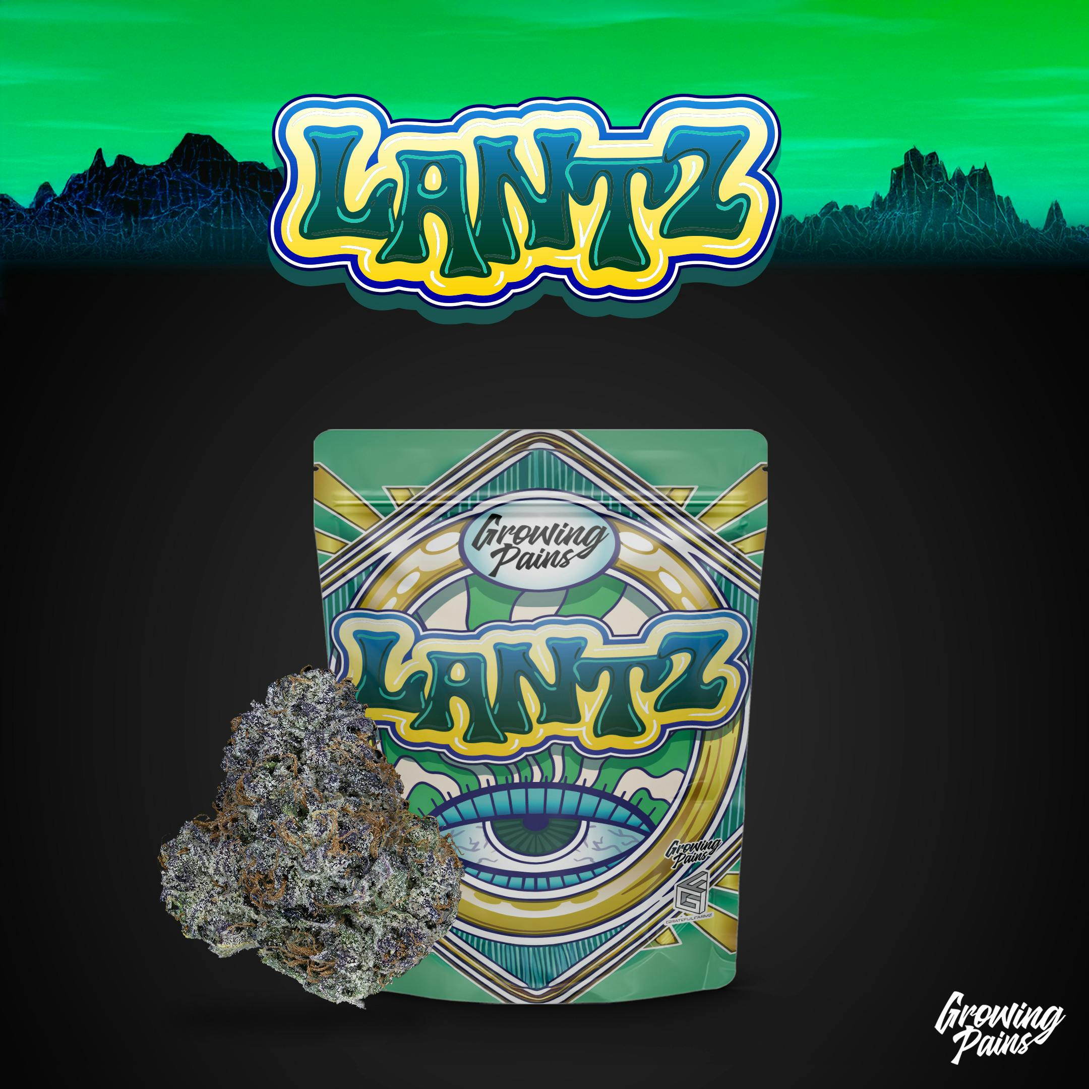 Growing Pains - Pre-Packed Flower - (3.5g) - **LANTZ**