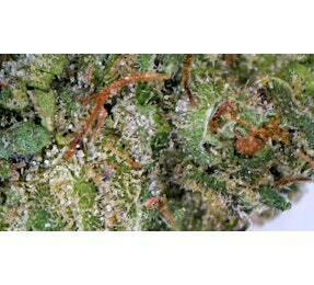 Ganja Goddess Fritter Glitter Deli Flower at UURB Dispensary - Bigfork MT