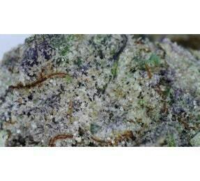 Big Sky Buds Banana Punch Deli Flower (SMALL BUDS & SHAKE) at UURB Dispensary - Fairview