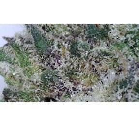 Ganja Goddess Titty Sprinkles Deli Flower at UURB Dispensary - Fairview