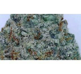 Big Sky Buds Sloth Sweat Deli Flower at UURB Dispensary - Fairview
