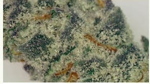 MT Kush Cougar Candy Deli Flower