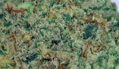 Shovels Deep Chunk Deli Flower at UURB Dispensary - Fairview