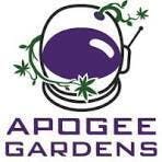 Apogee Gardens Huckleberry Bar Smalls Deli Flower at UURB Dispensary - Fairview