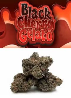 COOKIES - Black Cherry Gelato 14g [H]