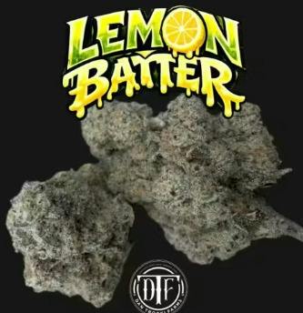 DTF - Lemon Batter 14g [I]