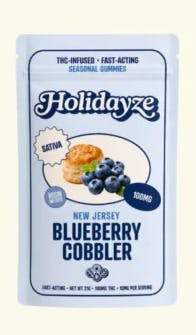 HOLIDAYZE - Blueberry Cobbler 10pk Live Rosin Gummies [H/I]