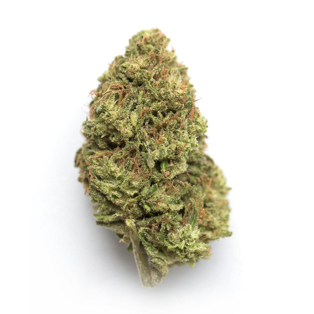 Campfire Cannabis | Poison Gushers | 1/8oz Flower at Lake Leaf Cultivation