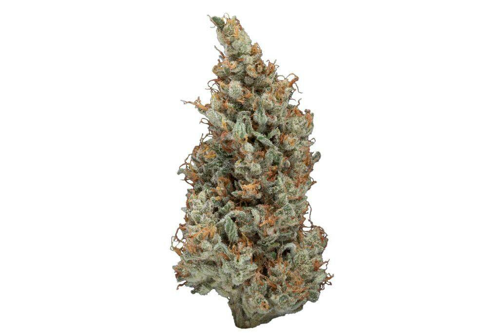 Jack Herer Sweet n Sour Jack 3.5 g
