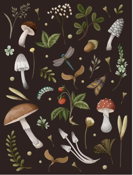 JOURNAL | MUSHROOM LINED