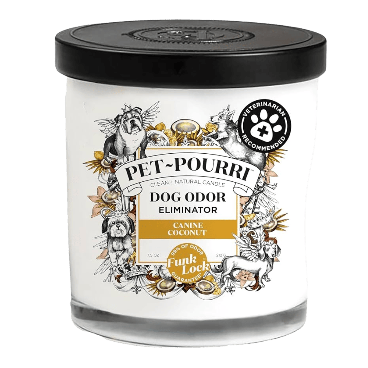 CANDLE | PET~POURRI | DOG | CANINE COCONUT