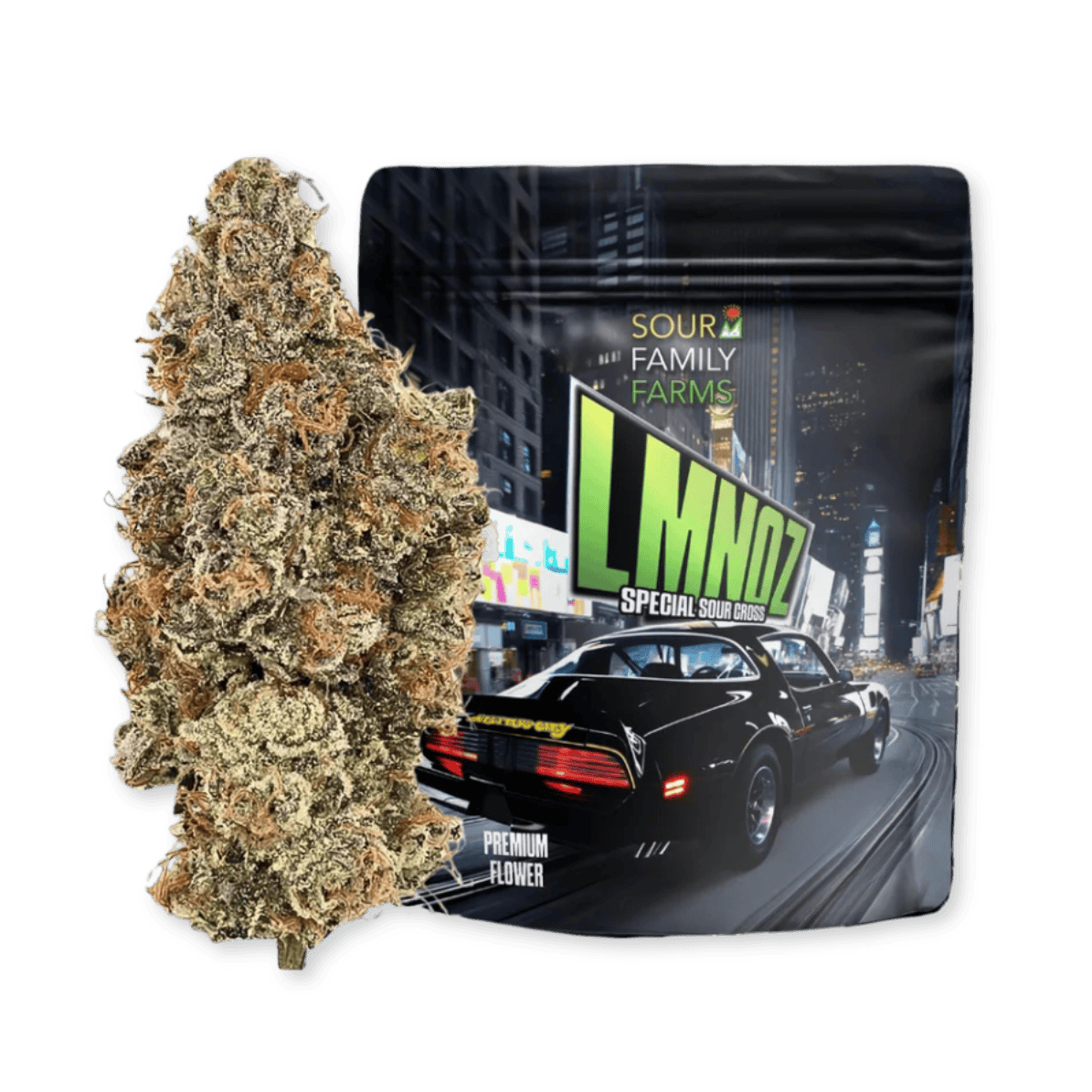 LMNO-Z | 1G