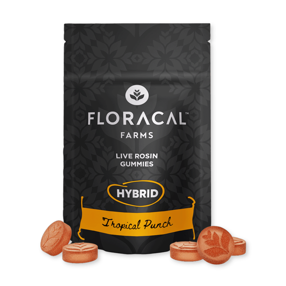 GUMMY | TROPICAL PUNCH | 100MG | 10PK