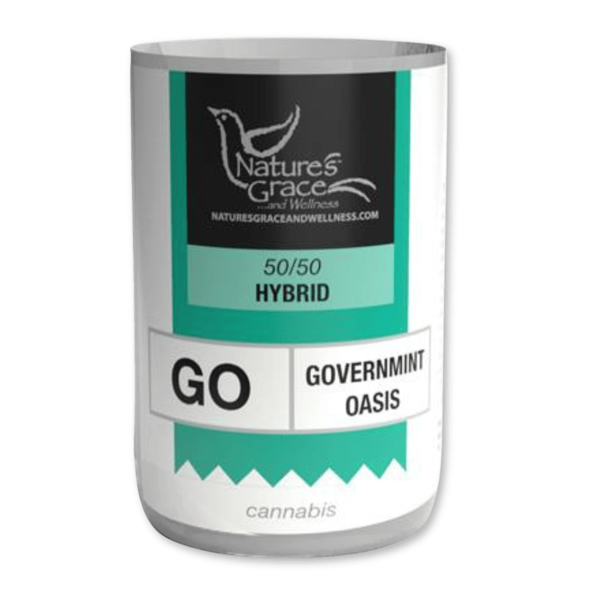 GOVERNMINT OASIS | 7G