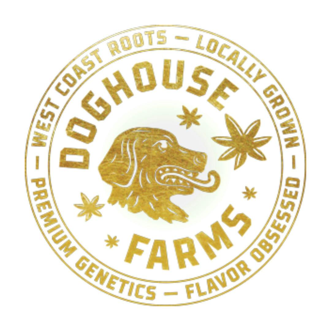 Doghouse | Pre-Roll | Purple Panties