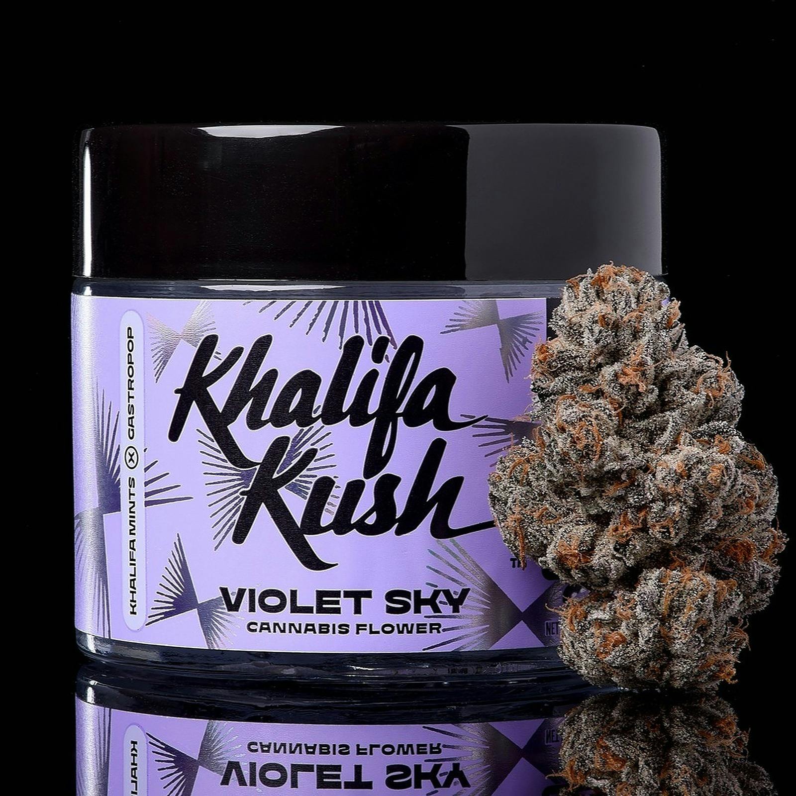 Violet Sky Flower