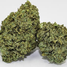Night Nurse