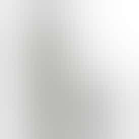 Battery with Charger - Regular