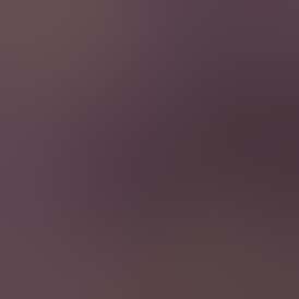 Wisenhiemer Live Rosin AIO Cartridge - Basement Cookies (S)