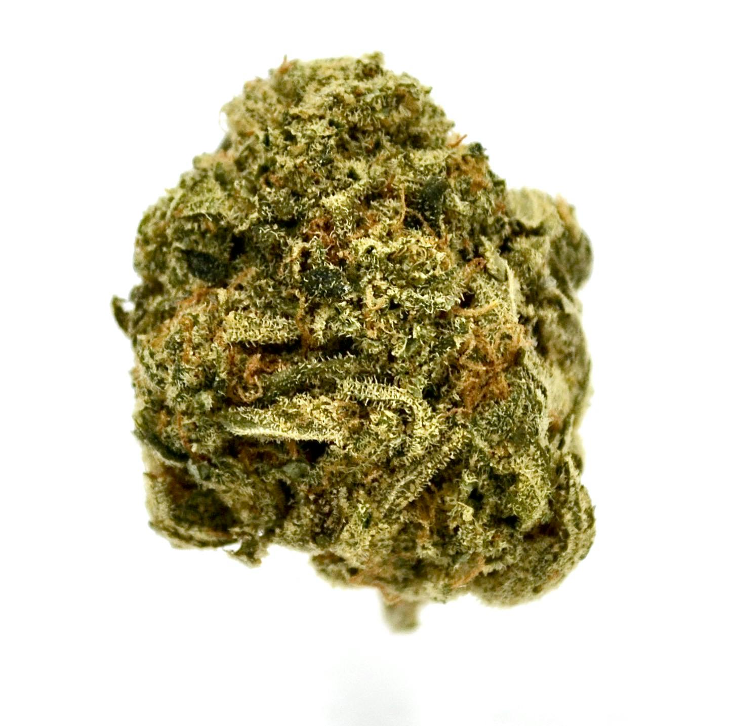Apricot Haze (H-Gold)