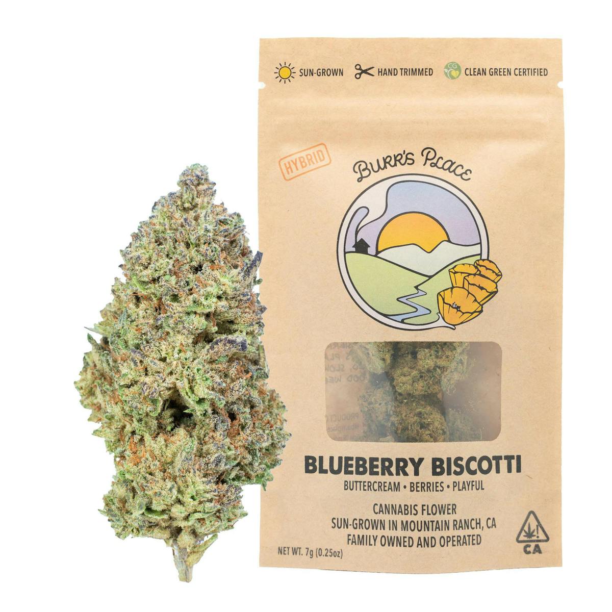 Blueberry Biscotti Burrs Place